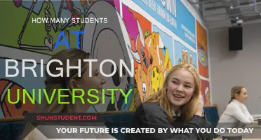 Brighton University's Student Population: How Many Are There?