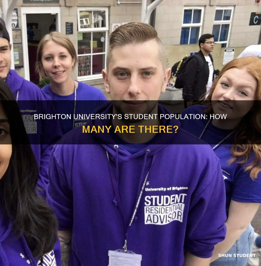 how many students at brighton university