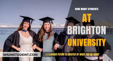 Brighton University's Student Population: A Comprehensive Overview