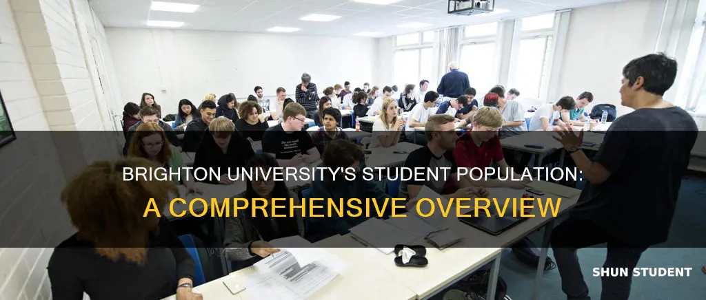how many students at brighton university