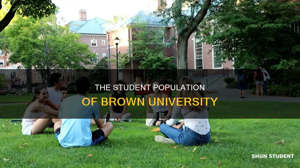 how many students at brown university