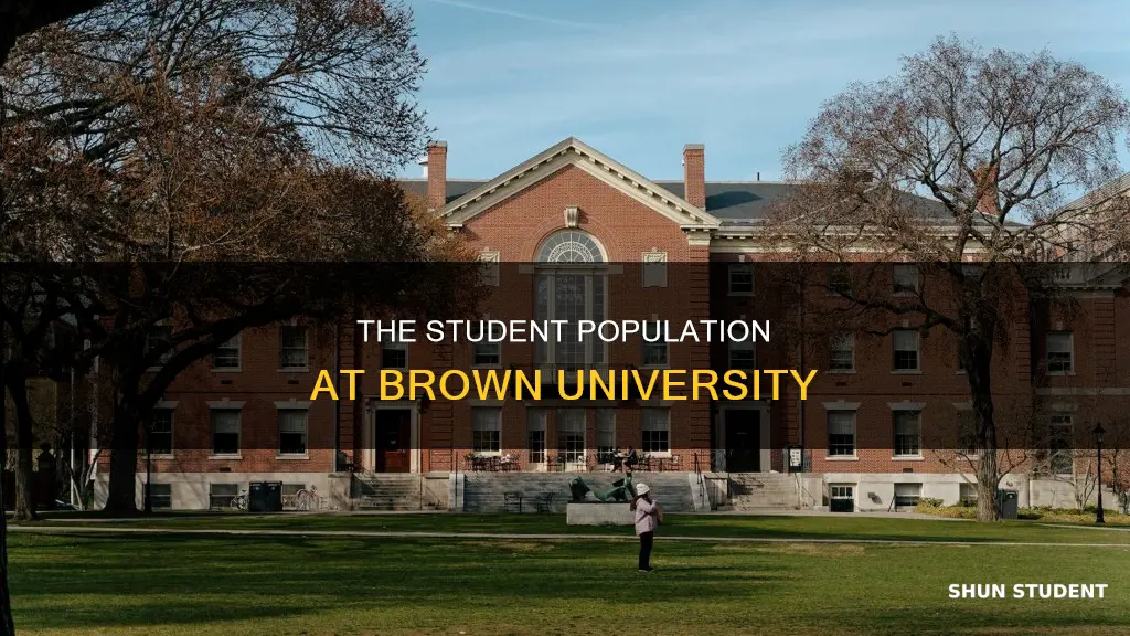 how many students at brown university