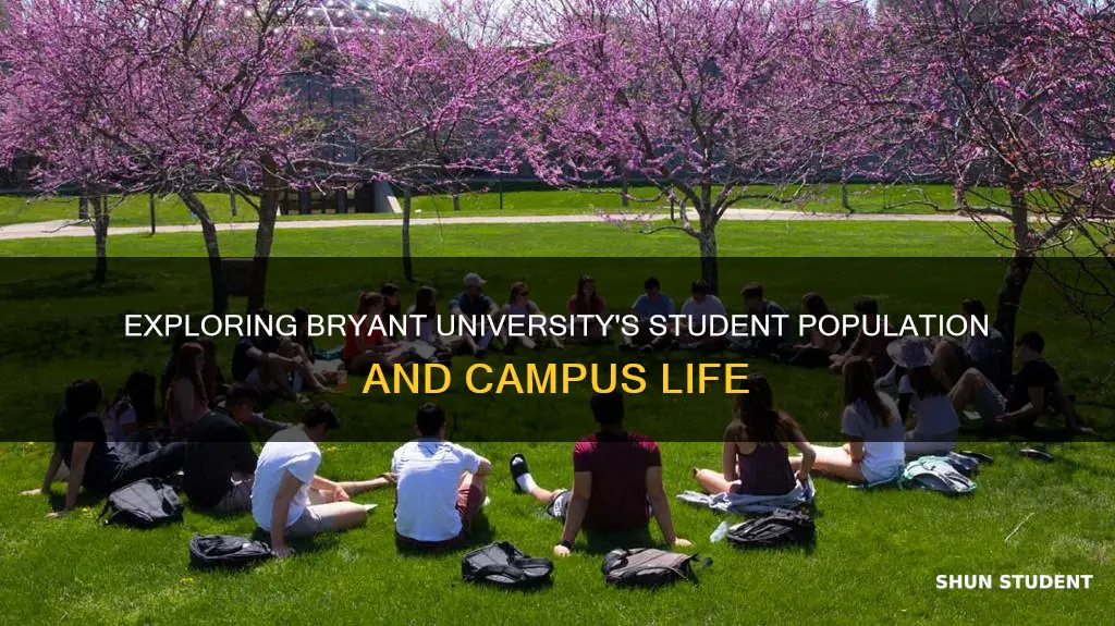 how many students at bryant university