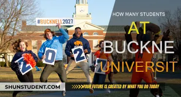 Exploring Bucknell University's Student Population: Numbers and Insights