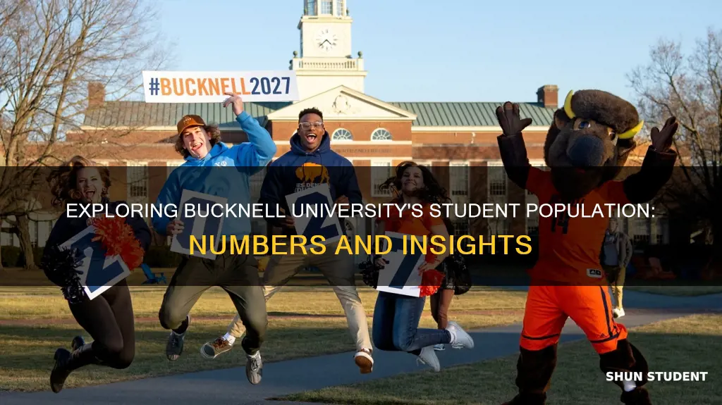 how many students at bucknell university