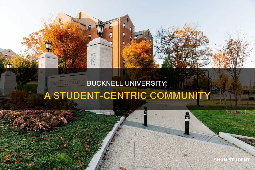 how many students at bucknell university