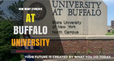 Exploring Buffalo University's Student Population