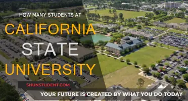 CSU Student Population: How Many Are There?