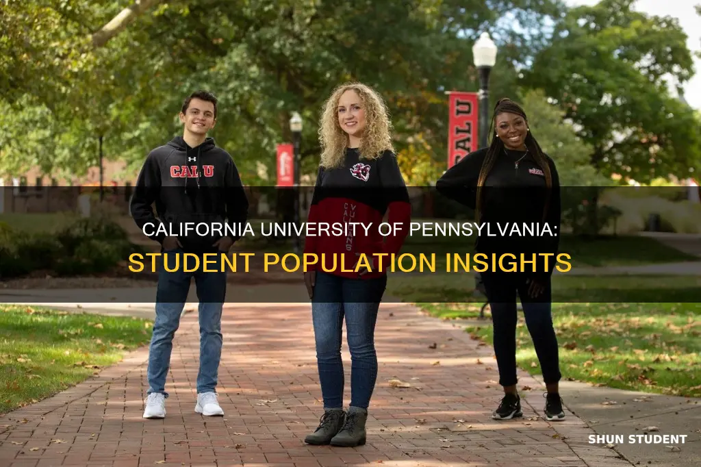 how many students at california university of pennsylvania