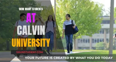 Exploring Calvin University's Student Population