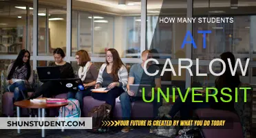 Carlow University's Student Population: A Comprehensive Overview