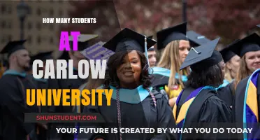 Carlow University: A Small Student Body, Big Opportunities