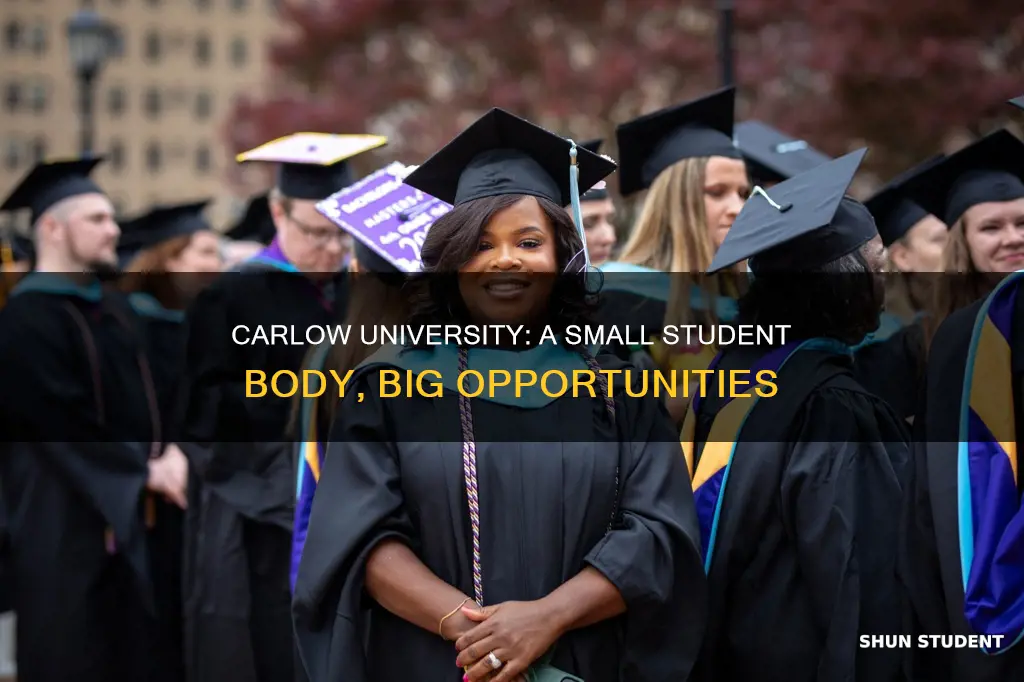 how many students at carlow university