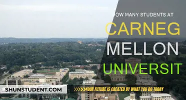 Exploring Enrollment Trends at Carnegie Mellon University