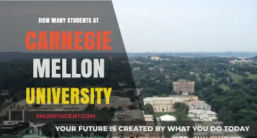 Student Population at Carnegie Mellon University