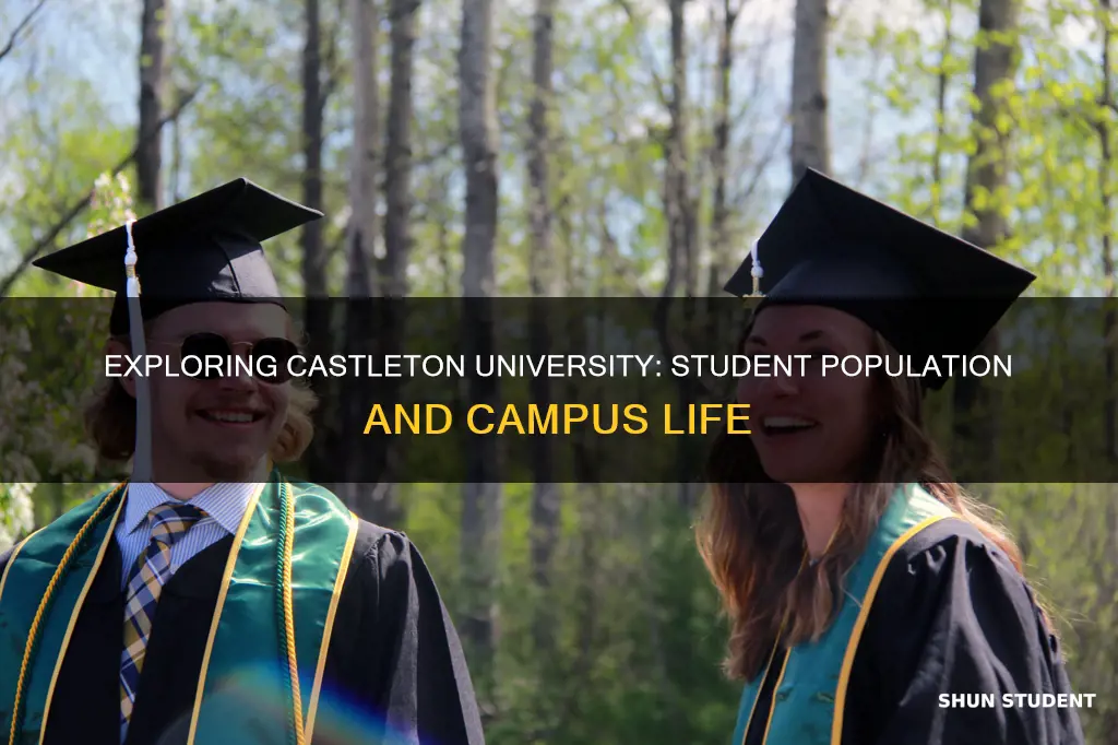 how many students at castleton university