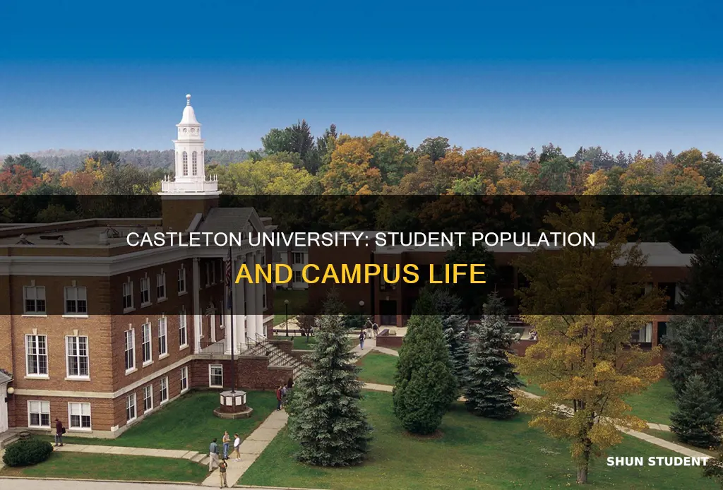 how many students at castleton university