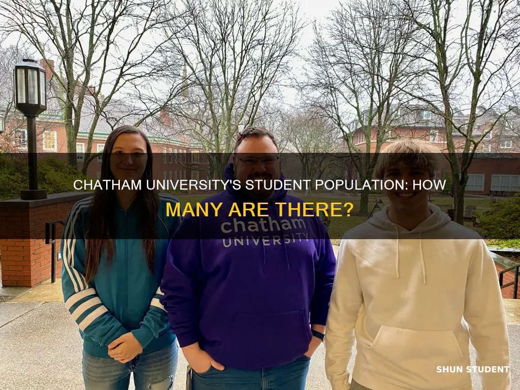 how many students at chatham university