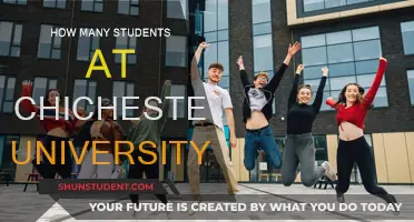 Chichester University's Student Population: How Many Are There?