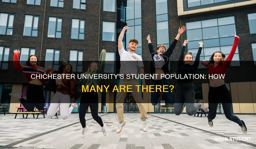 how many students at chichester university