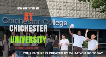 Chichester University: Unveiling Student Population
