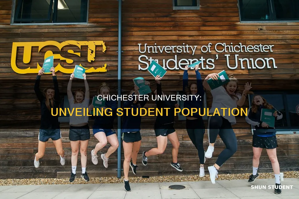 how many students at chichester university