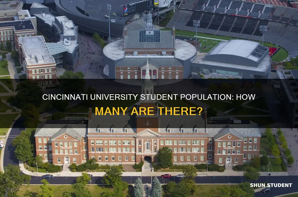 how many students at cincinnati university