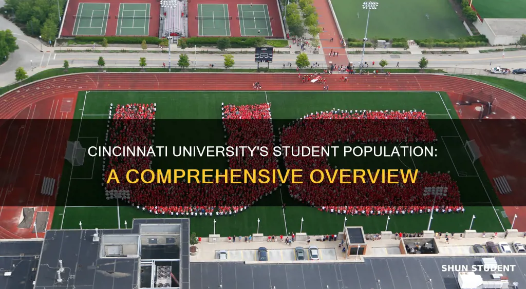 how many students at cincinnati university