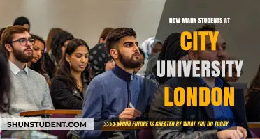 City, University of London: Student Population Insights