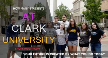 Clark University Student Population: How Many Are There?