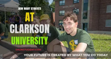 Exploring Enrollment: Clarkson University's Student Population