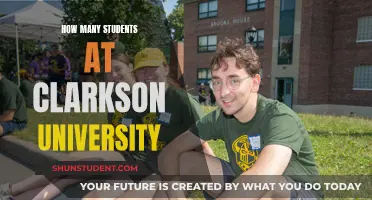 Clarkson University Student Population: A Comprehensive Overview