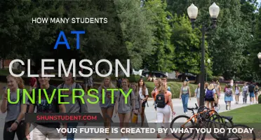 Exploring Clemson University's Student Population