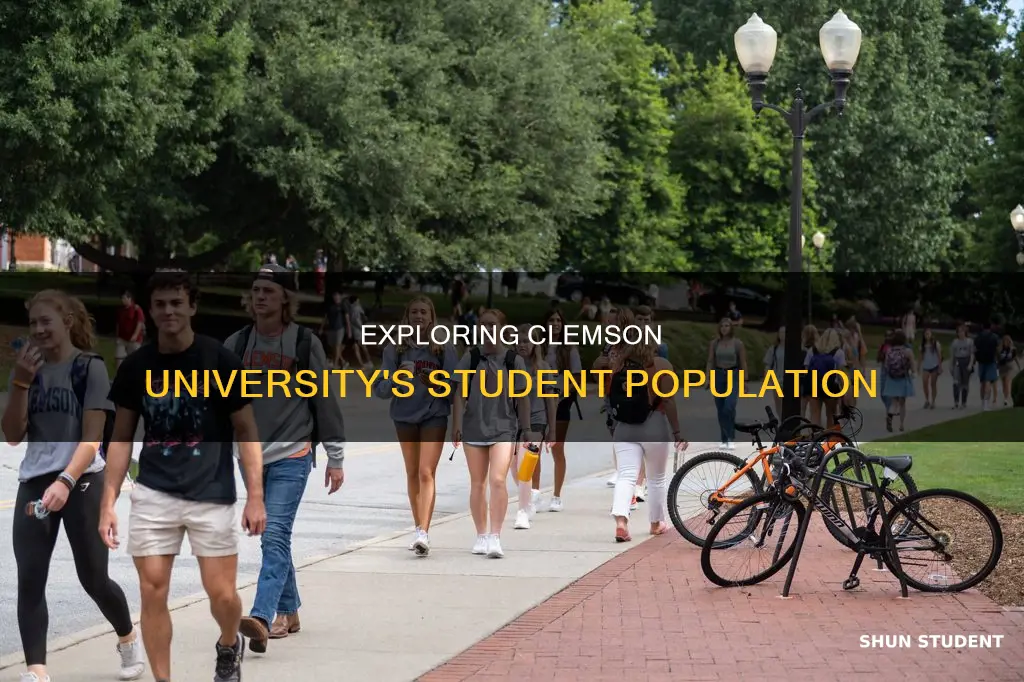 how many students at clemson university