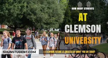 Clemson University: A Thriving Student Community