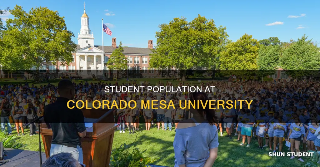 how many students at colorado mesa university