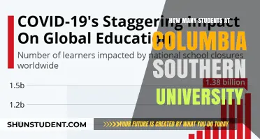 The Student Population at Columbia Southern University