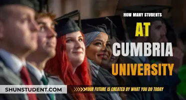 University of Cumbria: Student Population Insights
