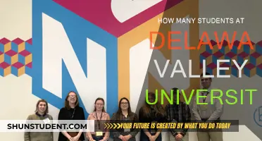 Exploring Delaware Valley University's Student Population