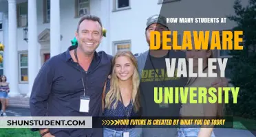 Exploring Delaware Valley University's Student Population