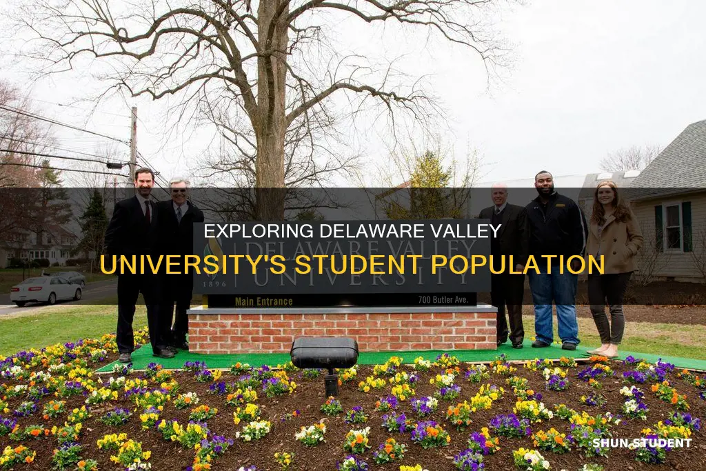 how many students at delaware valley university