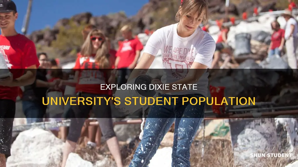 how many students at dixie state university