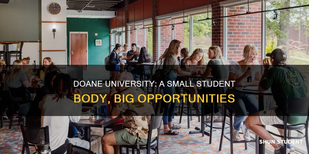 how many students at doane university