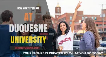Duquesne University Student Population: A Comprehensive Overview