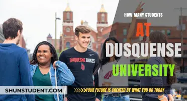 Duquesne University's Student Population: A Comprehensive Overview