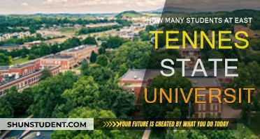 Exploring East Tennessee State University's Student Population