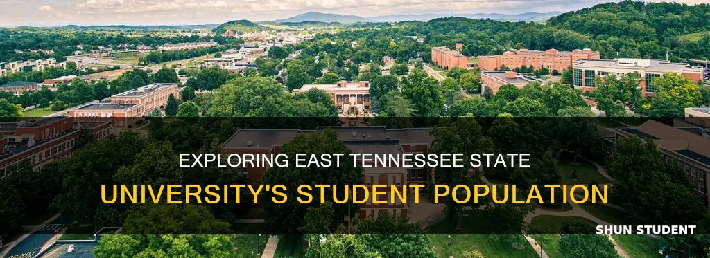 how many students at east tennessee state university