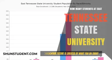 Exploring East Tennessee State University's Student Population