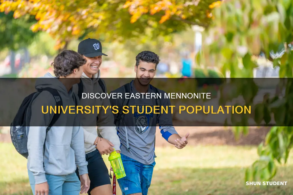how many students at eastern mennonite university
