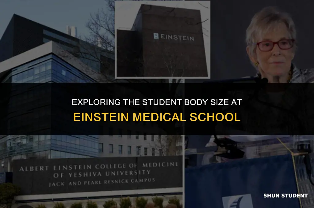 how many students at einstein medical school